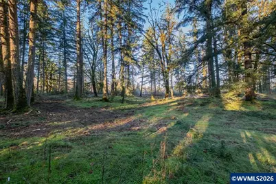 11997 Towers Dr, Stayton, OR 97383 - Photo 17