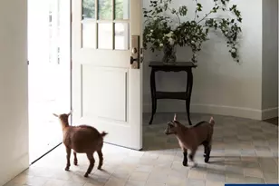 3585 Deer Lake Ct SE, Salem, OR 97317 - Photo 5