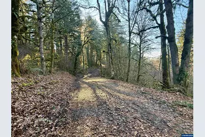 Tl 800 Siegmund Rd SE, Stayton, OR 97383 - Photo 7