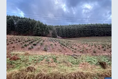 Tl 800 Siegmund Rd SE, Stayton, OR 97383 - Photo 3
