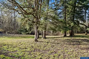 38979 Sodaville Waterloo Dr, Lebanon, OR 97355 - Photo 39