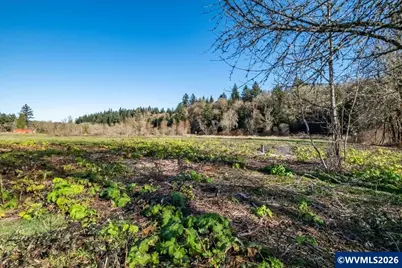 Lot #1 Ballyntyne Rd, Salem, OR 97302 - Photo 3