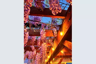 1254 Crystal Ln, Lafayette, OR 97127 - Photo 33