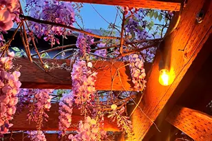 1254 Crystal Ln, Lafayette, OR 97127 - Photo 33