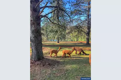 2752 Cole Rd S, Salem, OR 97306 - Photo 35