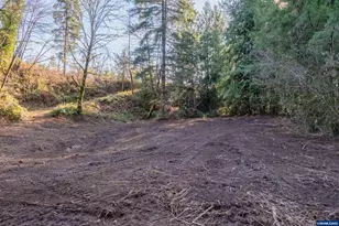 27914 Walkerwood Ln, Sweet Home, OR 97386 - Photo 35