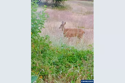 826 SW Cherry St, Willamina, OR 97396 - Photo 3