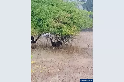 826 SW Cherry St, Willamina, OR 97396 - Photo 3