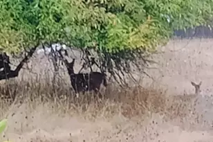 826 SW Cherry St, Willamina, OR 97396 - Photo 3