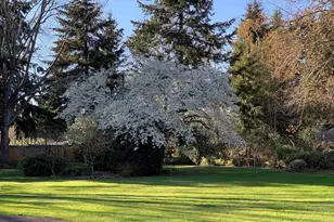 1149 Cayuse Cir SE, Salem, OR 97306 - Photo 23