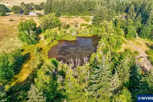 40450 S McCully Mountain Rd, Lyons, OR 97358 - Photo 21