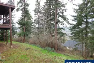 2453 Dalke Ridge Dr NW, Salem, OR 97304 - Photo 31