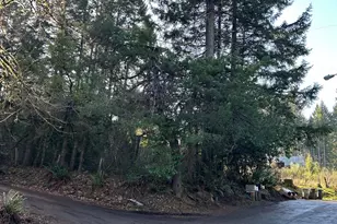 995 Parry Rd, Falls City, OR 97344 - Photo 5