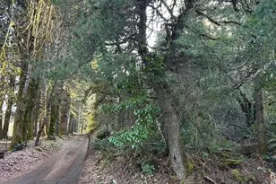 995 Parry Rd, Falls City, OR 97344 - Photo 3