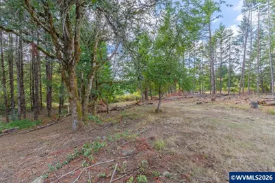 11 N Main St, Falls City, OR 97344 - Photo 7