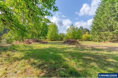 11 N Main St, Falls City, OR 97344 - Photo 3