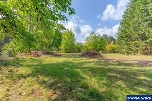 11 N Main St, Falls City, OR 97344 - Photo 3