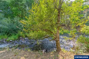 11 N Main St, Falls City, OR 97344 - Photo 11