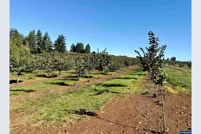 41404 Kingston Jordan Rd, Stayton, OR 97383 - Photo 37