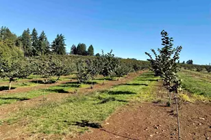 41404 Kingston Jordan Rd, Stayton, OR 97383 - Photo 37