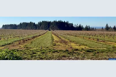 41404 Kingston Jordan Rd, Stayton, OR 97383 - Photo 47