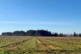 41404 Kingston Jordan Rd, Stayton, OR 97383 - Photo 47