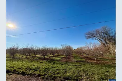 41404 Kingston Jordan Rd, Stayton, OR 97383 - Photo 45