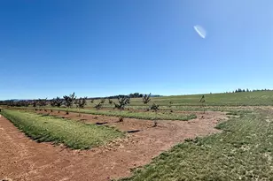 41404 Kingston Jordan Rd, Stayton, OR 97383 - Photo 7