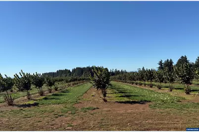 41404 Kingston Jordan Rd, Stayton, OR 97383 - Photo 39