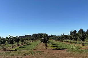 41404 Kingston Jordan Rd, Stayton, OR 97383 - Photo 39