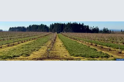 41404 Kingston Jordan Rd, Stayton, OR 97383 - Photo 49