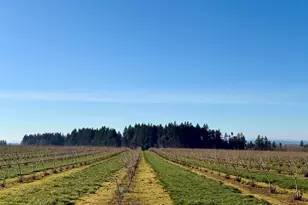 41404 Kingston Jordan Rd, Stayton, OR 97383 - Photo 49