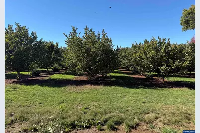 41404 Kingston Jordan Rd, Stayton, OR 97383 - Photo 5