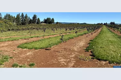 41404 Kingston Jordan Rd, Stayton, OR 97383 - Photo 35