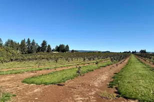 41404 Kingston Jordan Rd, Stayton, OR 97383 - Photo 35