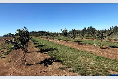 41404 Kingston Jordan Rd, Stayton, OR 97383 - Photo 33