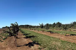 41404 Kingston Jordan Rd, Stayton, OR 97383 - Photo 33