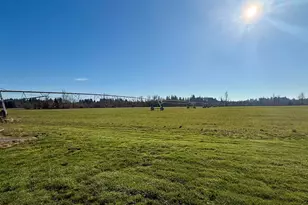 39340 Shelburn Dr, Scio, OR 97374 - Photo 35