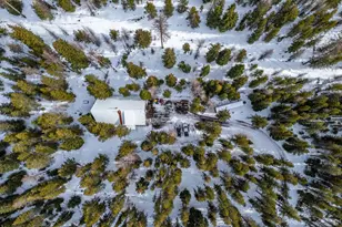 7767 Jack Pine Ln, Weston, OR 97886 - Photo 9