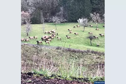 18101 SW Willamina Creek Rd, Willamina, OR 97396 - Photo 45