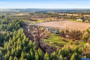 40220 Ridge Dr, Scio, OR 97374 - Photo 49