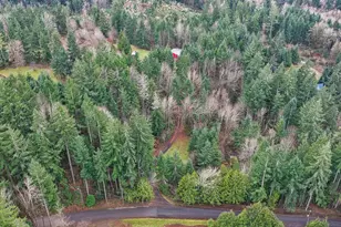 20284 El Romar Dr NE Dr, Scotts Mills, OR 97375 - Photo 43