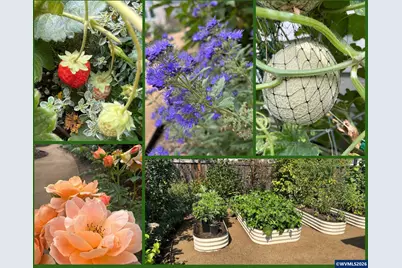 807 Ike Mooney Rd NE, Silverton, OR 97381 - Photo 33