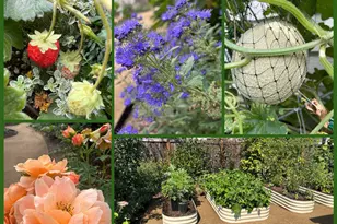 807 Ike Mooney Rd NE, Silverton, OR 97381 - Photo 33