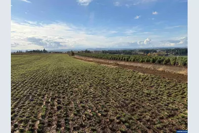 39986 Gisler Rd, Scio, OR 97374 - Photo 5