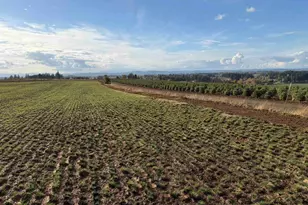 39986 Gisler Rd, Scio, OR 97374 - Photo 5