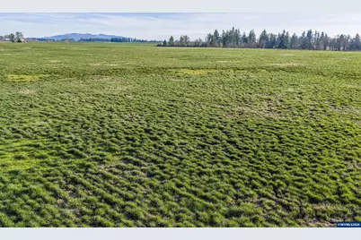 39986 Gisler Rd, Scio, OR 97374 - Photo 31