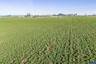 39986 Gisler Rd, Scio, OR 97374 - Photo 3