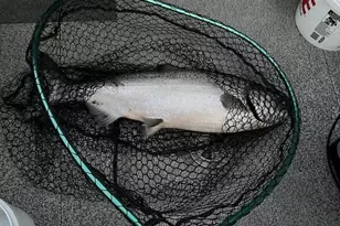 9245 Trout Pl, Gleneden Beach, OR 97388 - Photo 49