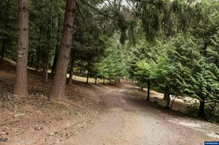 5101 NW Paradise Dr, Forest Grove, OR 97116 - Photo 25